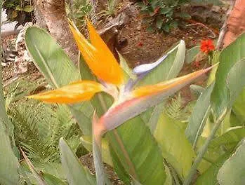 Baldwin's 3* Cozumel